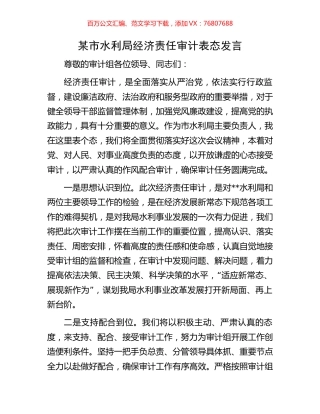 某市水利局经济责任审计表态发言.docx