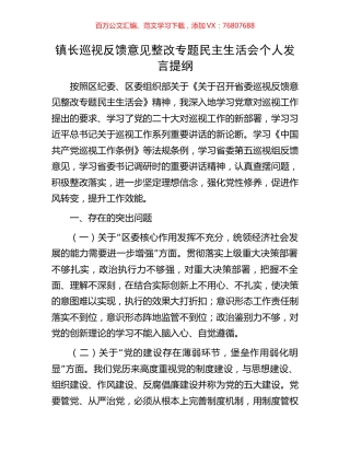 镇长巡视反馈意见整改专题民主生活会个人发言提纲.docx