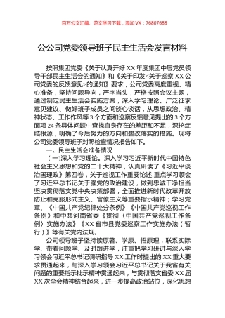 公司党委领导班子民主生活会发言材料.docx