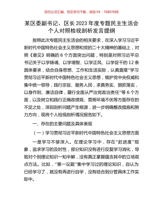 某区委副书记、区长2023年度专题民主生活会个人对照检视剖析发言提纲.docx