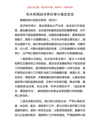 市水利局经济责任审计表态发言.docx