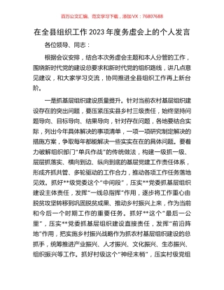 在全县组织工作2023年度务虚会上的个人发言.docx