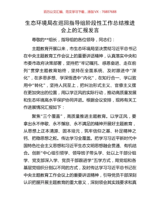 生态环境局在巡回指导组阶段性工作总结推进会上的汇报发言.docx