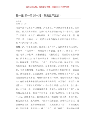 量一量 照一照 对一对（聚焦三严三实）.docx
