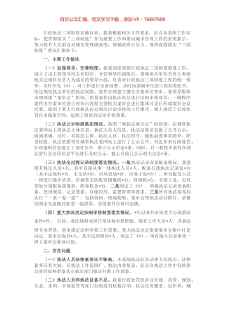 关于落实行政执法三项制度自查情况的报告.docx