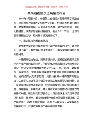 某局巡视整改进展情况报告.docx