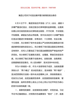 集团公司关于对违法案件警示教育的政治表态.docx