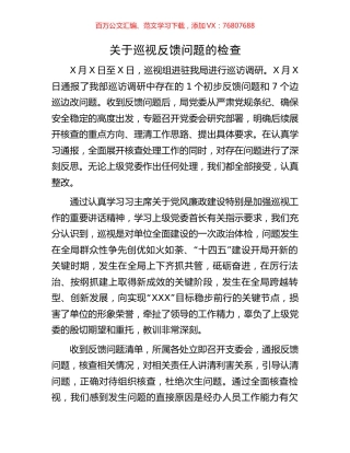 关于巡视反馈问题的检查.docx
