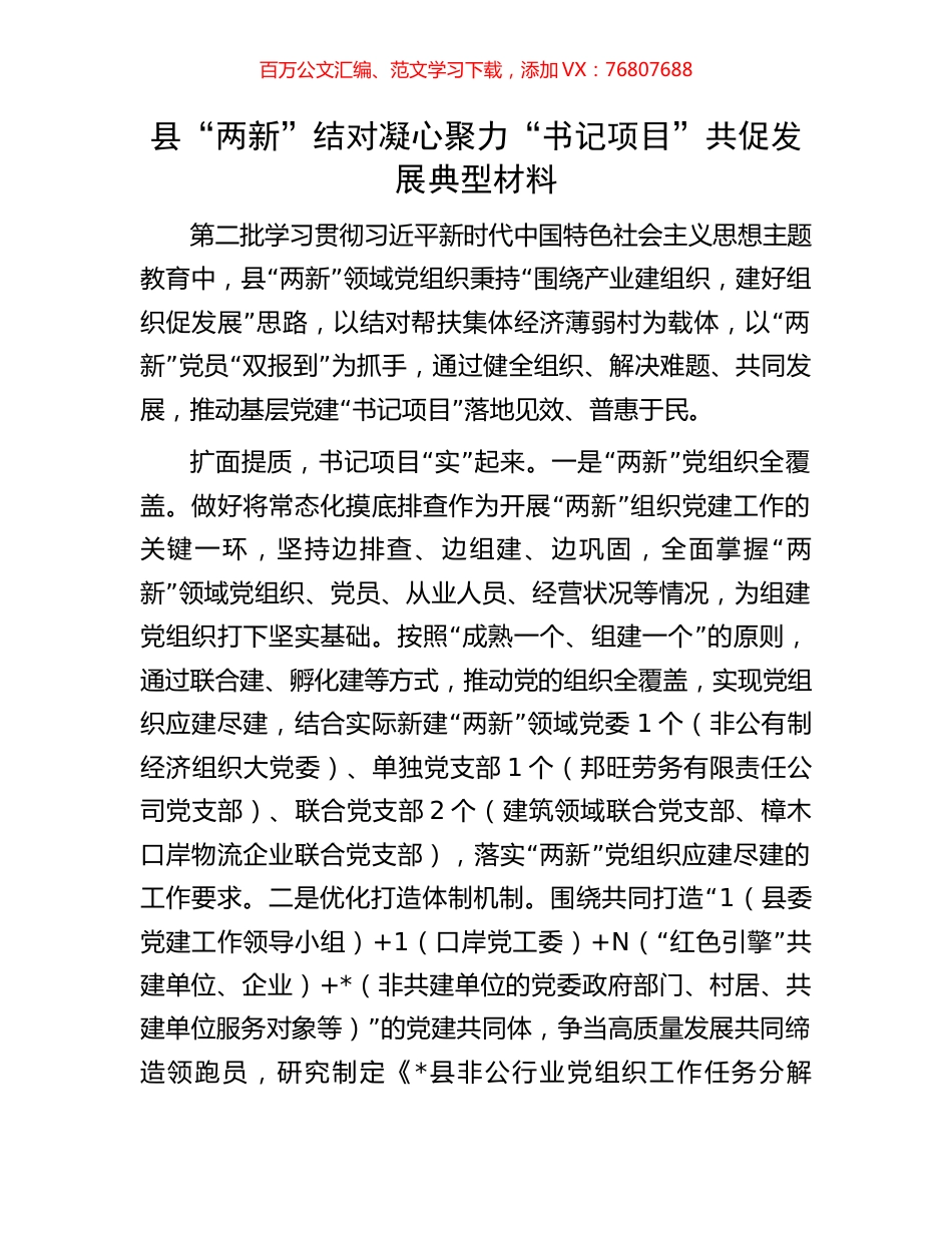 县“两新”结对凝心聚力“书记项目”共促发展典型材料.docx_第1页