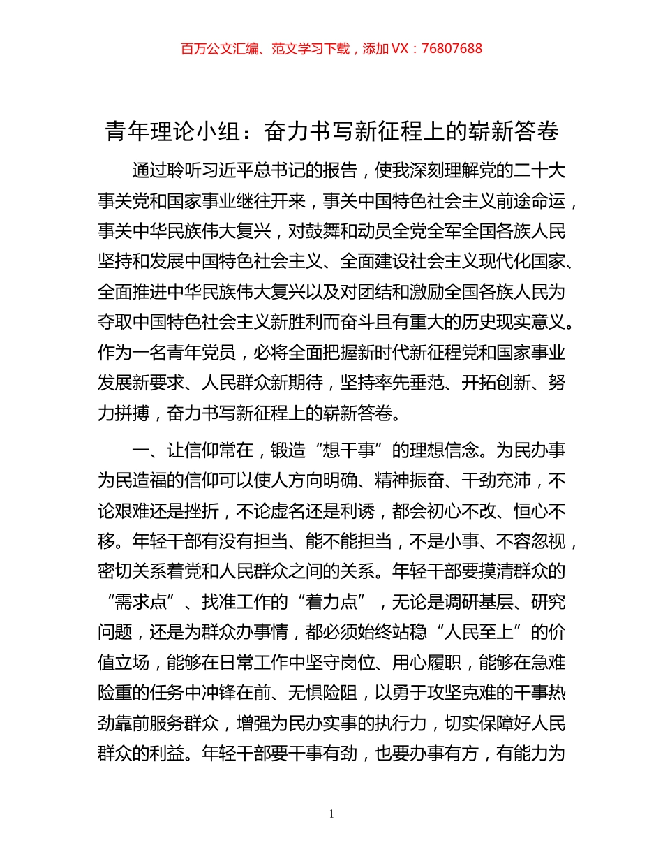 -青年理论小组：奋力书写新征程上的崭新答卷.docx_第1页