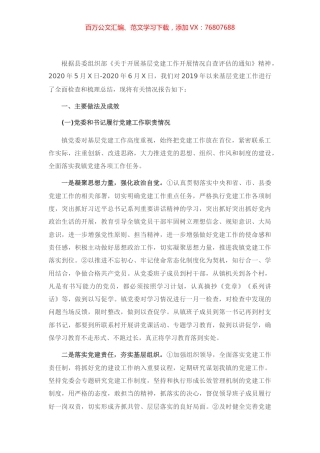 基层党建工作开展情况自查报告.docx
