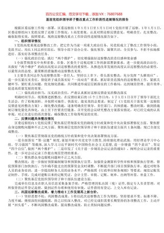 基层党组织领导班子整改重点工作阶段性进展情况的报告.docx