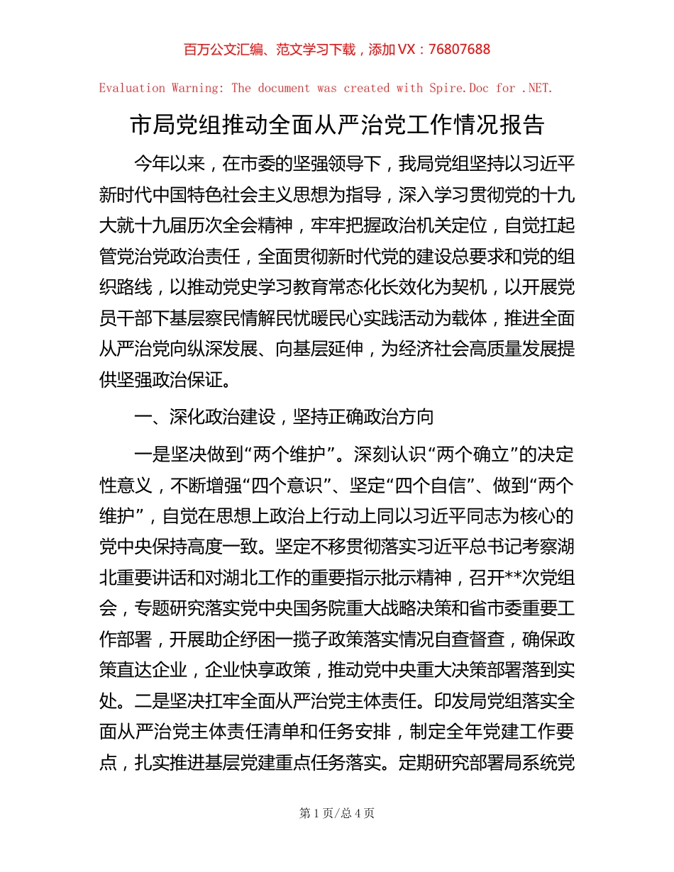 市局党组推动全面从严治党工作情况报告.docx_第1页