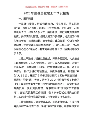 2023年度基层党建工作情况报告.docx