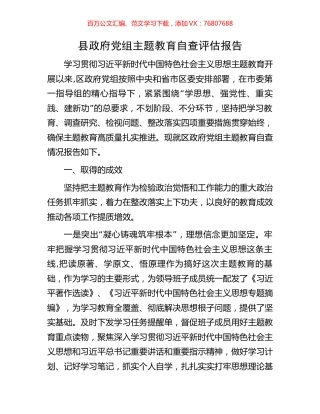 县政府党组主题教育自查评估报告.docx