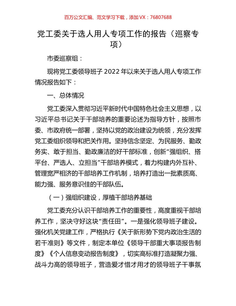 党工委关于选人用人专项工作的报告（巡察专项）.docx_第1页