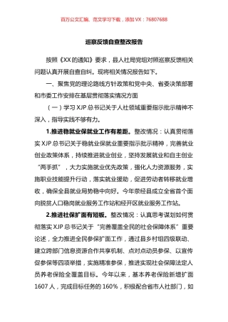 巡察反馈自查整改报告.docx