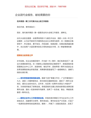 在共青团第二次代表大会上的工作报告.docx