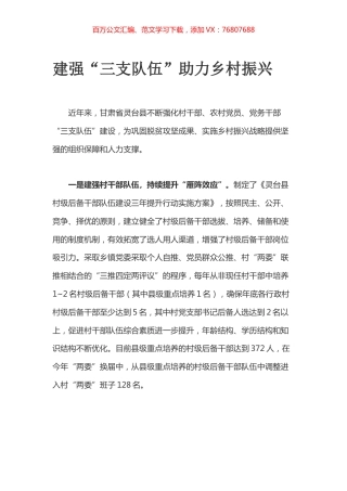 建强“三支队伍”助力乡村振兴.docx