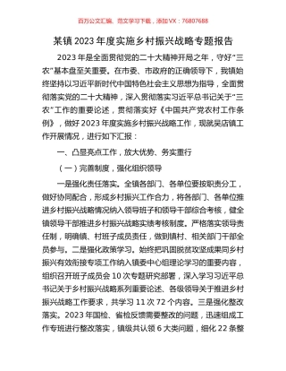 某镇2023年度实施乡村振兴战略专题报告.docx