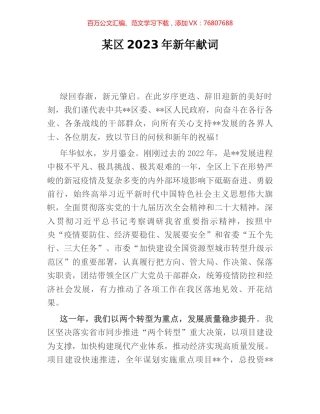 某区2023年新年献词.docx