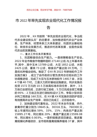市2022年率先实现农业现代化工作情况报告.docx
