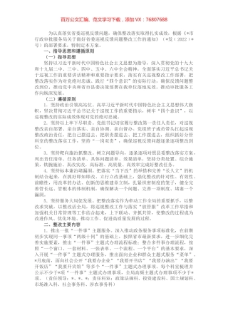 县行政审批服务局关于省委巡视反馈问题的整改方案.docx