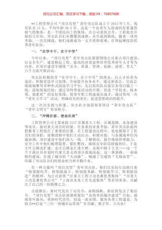 “项目攻坚”青年突击队事迹材料.docx