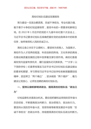 高校纪检队伍建设发展报告.docx