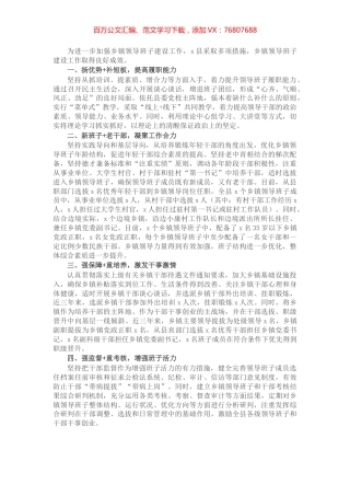 县加强乡镇领导班子建设工作经验材料.docx