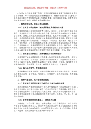 基层党建工作督查整改情况报告.docx