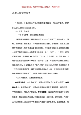 巡察工作情况报告.docx