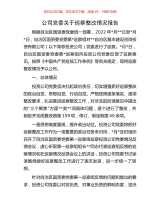 公司党委关于巡察整改情况报告.docx