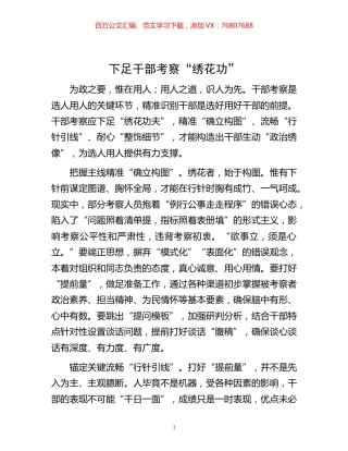 -下足干部考察“绣花功”.docx