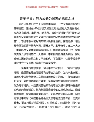 -青年党员：努力成长为国家的栋梁之材.docx