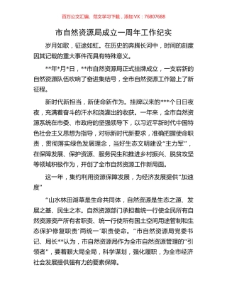 市自然资源局成立一周年工作纪实.docx
