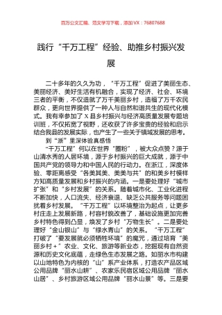 践行“千万工程”经验、助推乡村振兴发展.docx