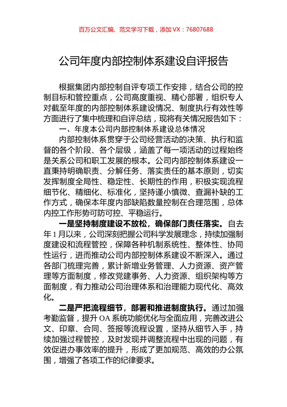 公司年度内部控制体系建设自评报告.docx_第1页
