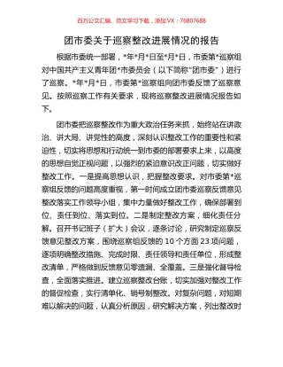 团市委关于巡察整改进展情况的报告.docx