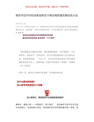 南京市召开对标找差创新实干推动高质量发展动员大会.docx