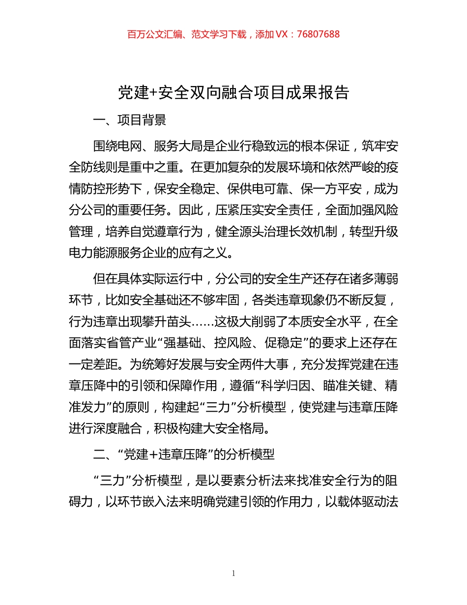 党建+安全双向融合项目成果报告.docx_第1页