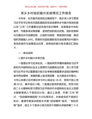 某乡乡村组织振兴实施情况工作报告.docx
