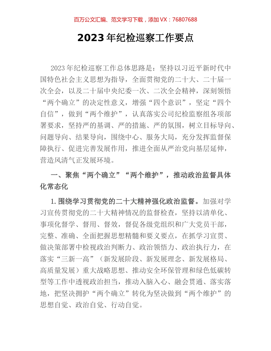 2023年纪检巡察工作要点.docx_第1页