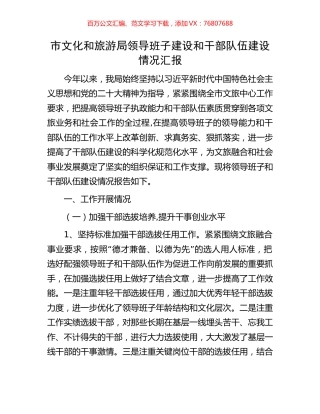 市文化和旅游局领导班子建设和干部队伍建设情况汇报.docx