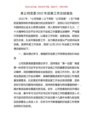 某公司党委2022年巡察工作总结报告.docx