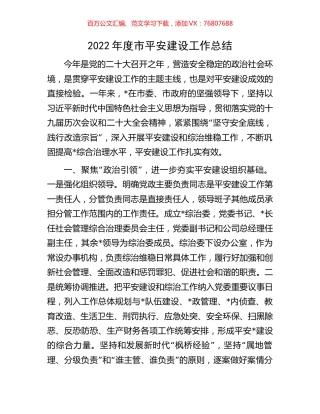 2022年度市平安建设工作总结.docx