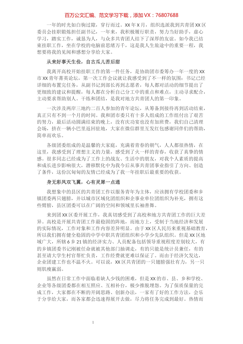团区委副书记挂职锻炼个人工作总结​​​​​​​​​​​​.docx_第1页