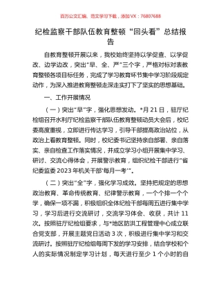 纪检监察干部队伍教育整顿“回头看”总结报告.docx