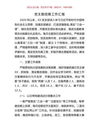 党支部巡察工作汇报.docx