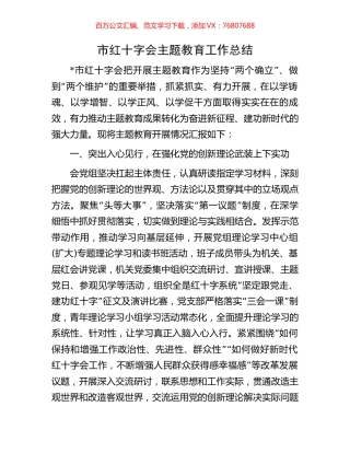 市红十字会主题教育工作总结.docx